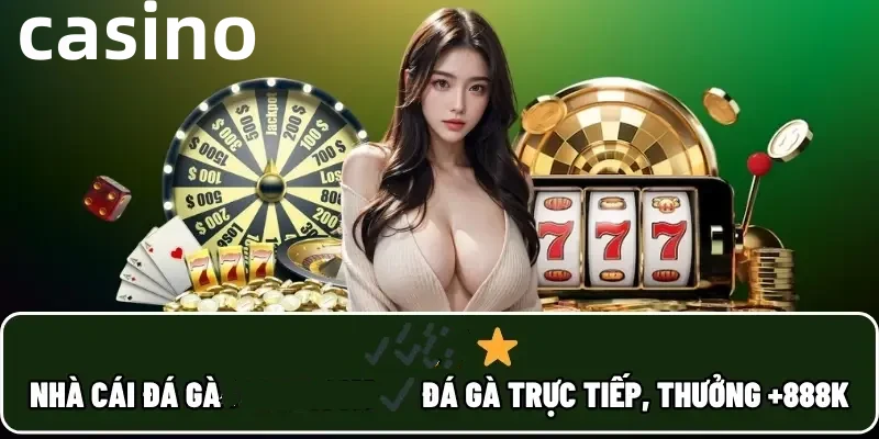soxo66